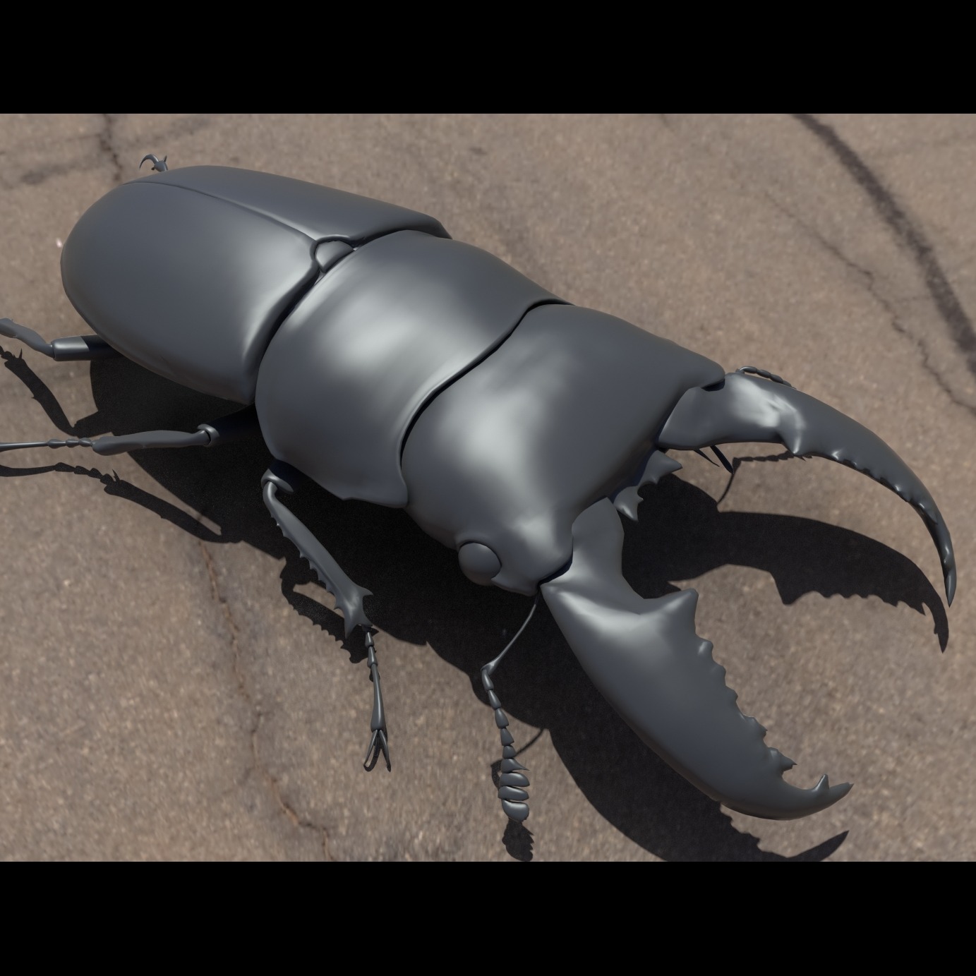 高精度 写实 昆虫 甲虫 模型