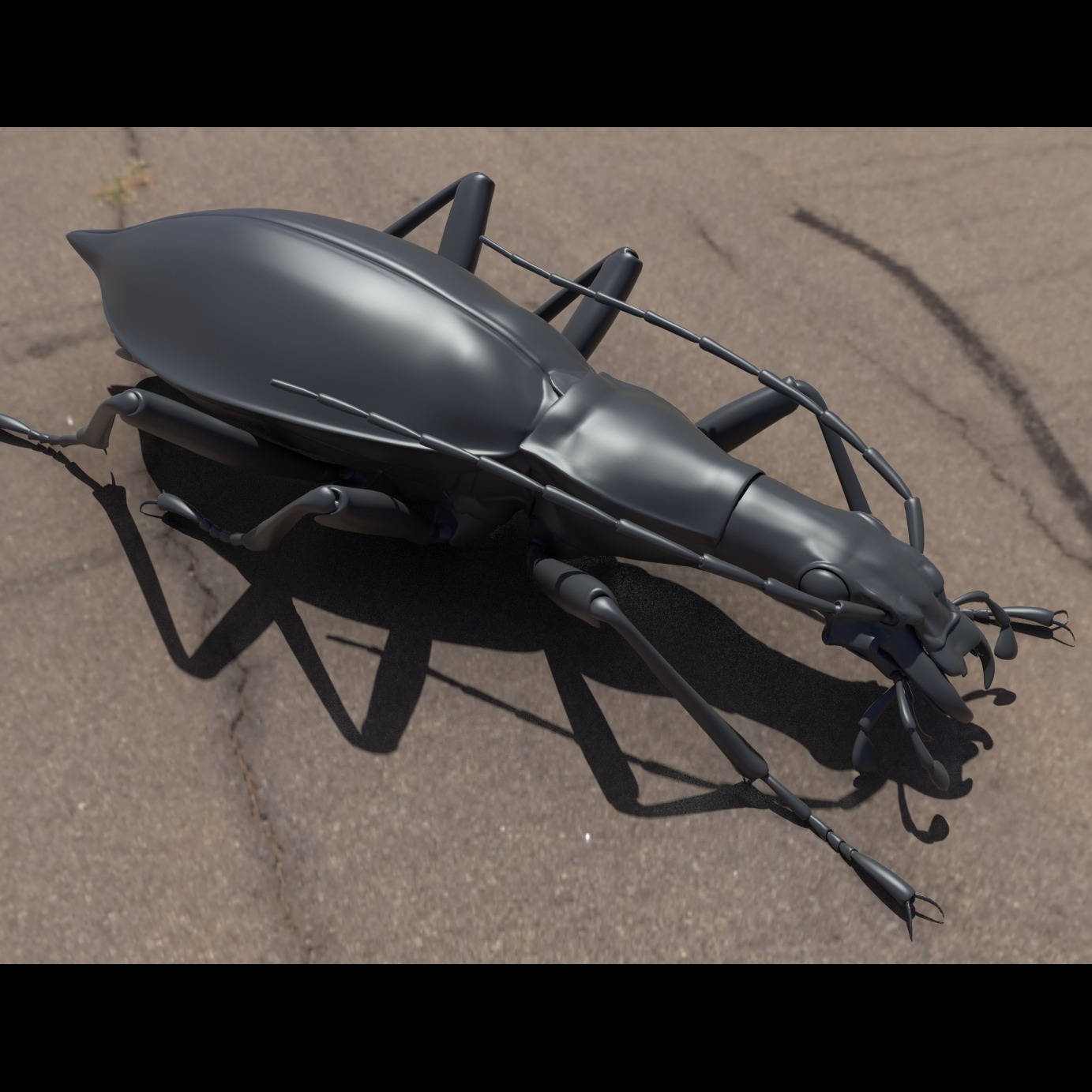 高精度 写实 昆虫 甲虫 模型