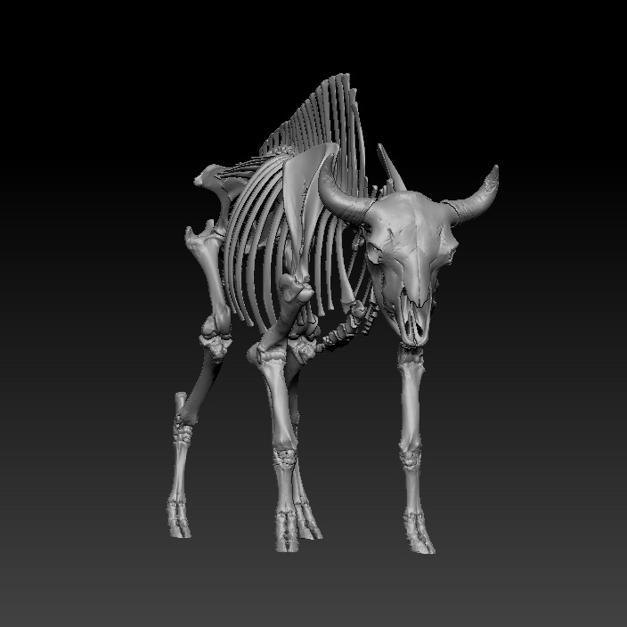 3D模型-牦牛+野牛骨架