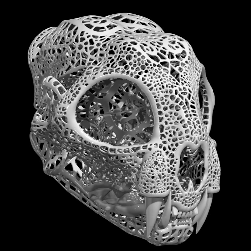 3D模型-山猫头骨镂空3D打印模型Bobcat