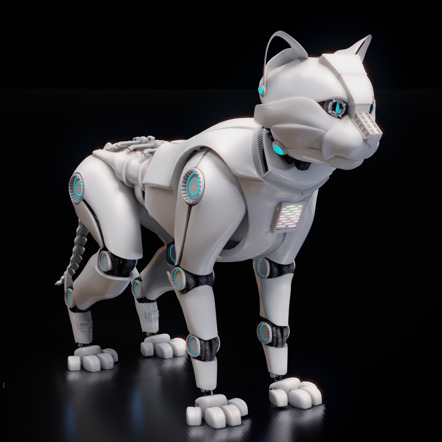 机械猫 机器猫 Robocat
