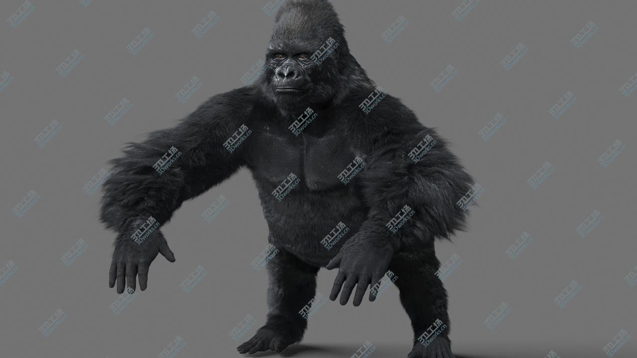 images/goods_img/20210113/Gorilla-Maya/3.jpg