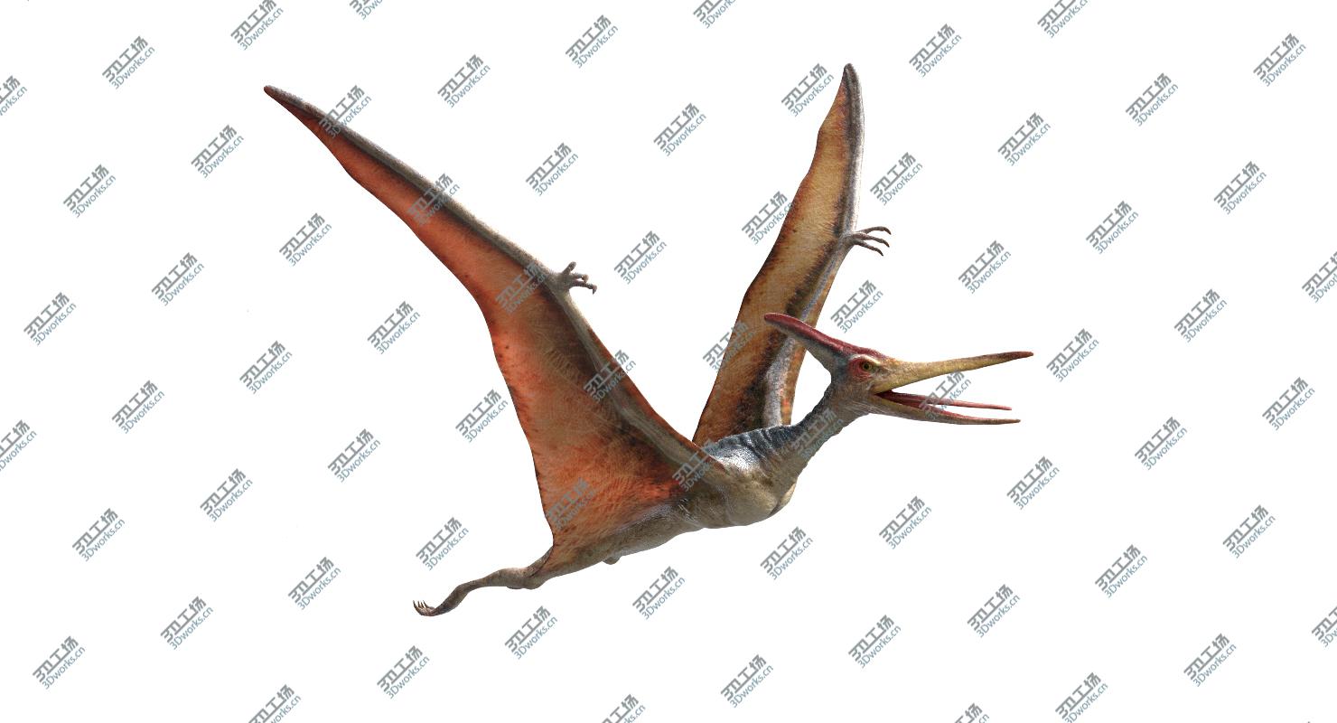 images/goods_img/20210113/Pteranodon(Rigged)(Animated)/1.jpg