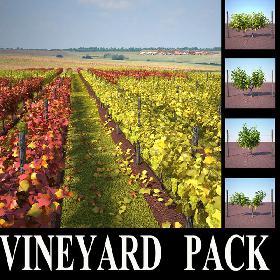 vineyard_pack
