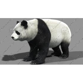 Panda-A