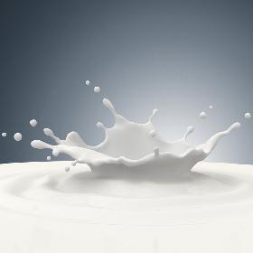 MilkSplash