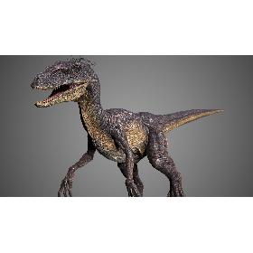 Velociraptor