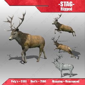 Stag