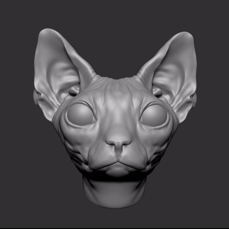 斯芬克斯猫
