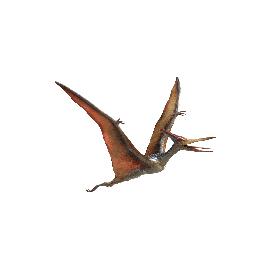 Pteranodon(Rigged)(Animated)