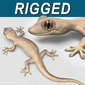 Lizard