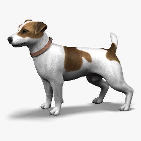 Dog_JRT_lite